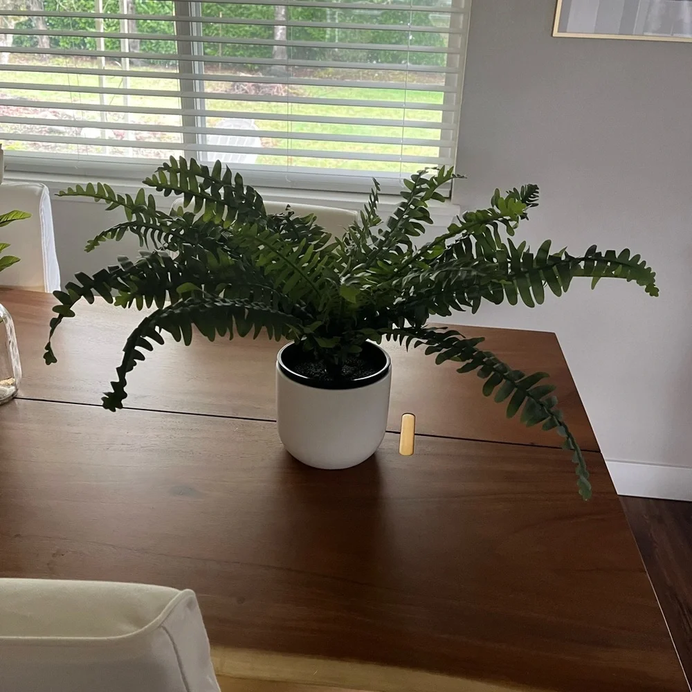 New IKEA large faux fern